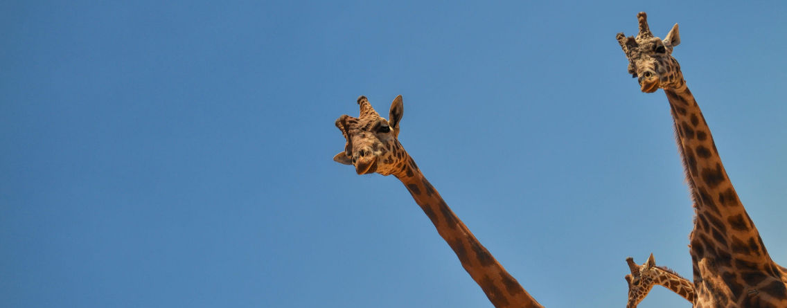 Sermaye Piyasalarinda Kullanilan Kavramlar